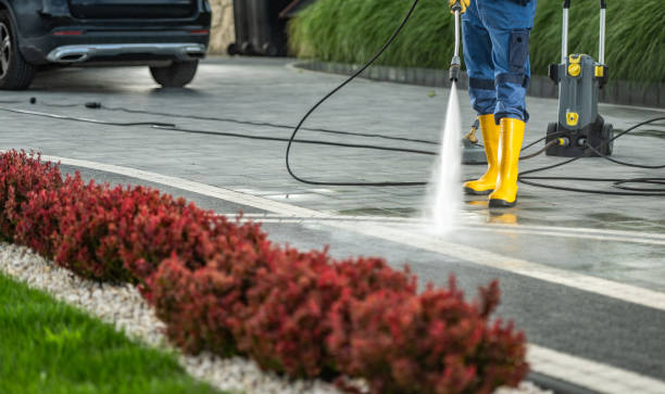 Best Factory Floor Cleaning  in St Charles, MN