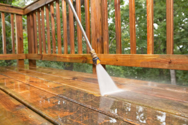 Best Spring Cleaning  in St Charles, MN
